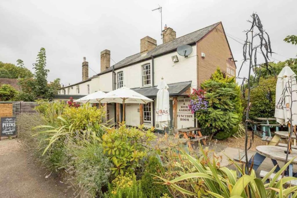 Cambridge 3 Bedroom Flat With Private Parking Exteriör bild